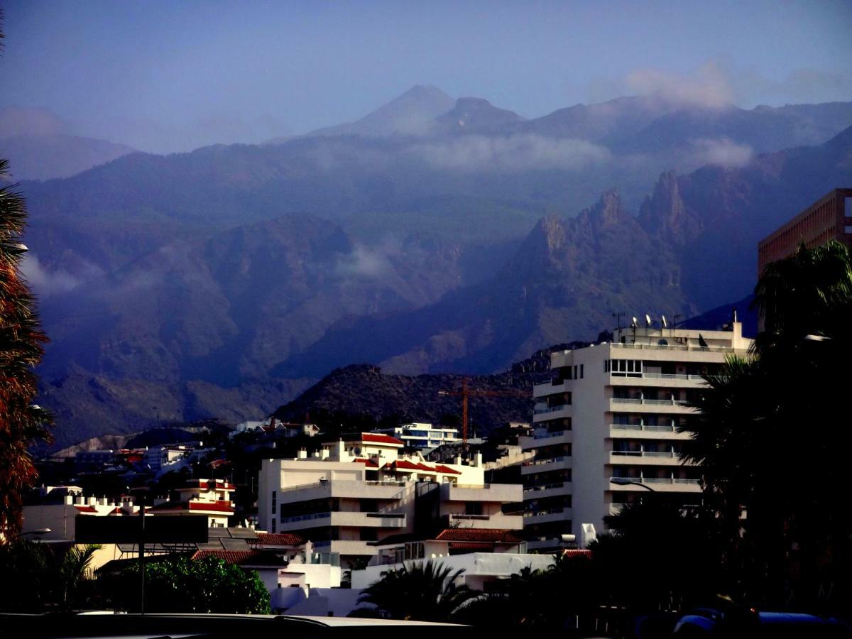 Spotless South Facing Apartment With Pool View And Wifi Heart Of Las Americas プラヤ・デ・ラス・アメリカス エクステリア 写真